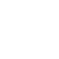 Rei do Bacalhau